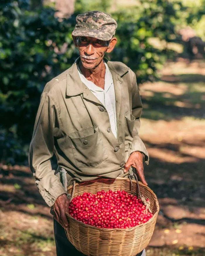 Familia Salazar Alva en su finca de café en Providencia, Luya - Amazonas